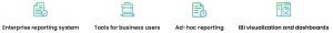Innoflexion Sap Bi Bo Services 300x30